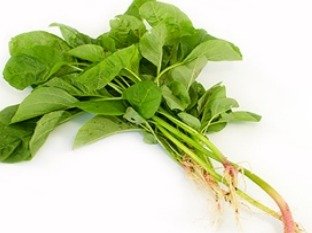 Green Bayam, fresh from Aquaville