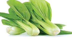 Pak Choy, fresh from Aquaville